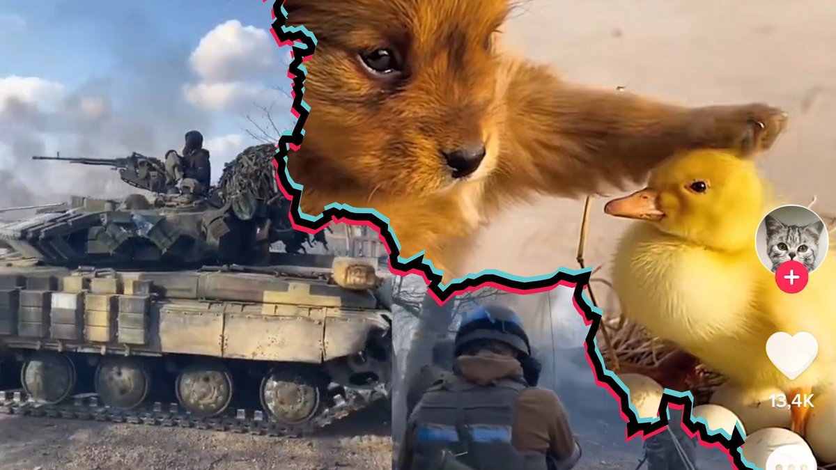 One App – Two Worlds: This Is TikTok in Russia and Ukraine 

Super interesting investigation into the TikTok algorithm and how the platform shows the war. 

In English: nrk.no/osloogviken/xl…