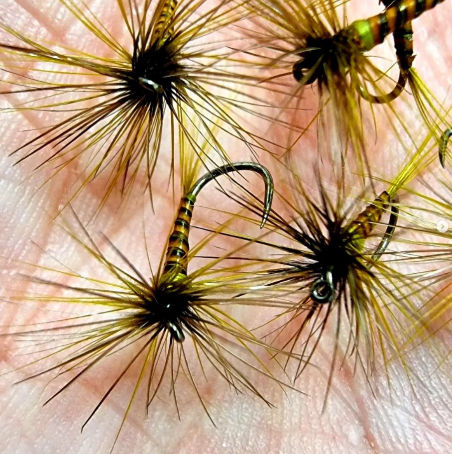 FarmsWhiting's tweet photo. Great handful, those are beautiful
@drishriverflies
Some more @daviemcphail inspiration..size 14 Clyde style dark olives..
#flytying #flytyingireland #flyfishing #flyfishingireland #dryflyfishing #dryflytying #darkolive #mayfly #baetis #dryfly https://t.co/yyXMqDQiah