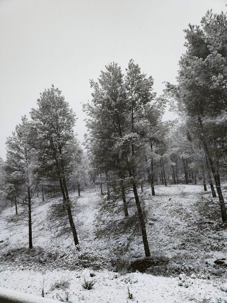 MeteOrihuela's tweet photo. ¡Paisaje teñido de blanco en el inicio de #abril! Esta mañana (05/04/2022), nevando en el entorno de #Nerpio (#Albacete), a una altitud de unos 1100 msnm. Bello enclave de la #SierraDelSegura. Imágenes: J Andrés Álvarez. https://t.co/GbUt5aAFMe