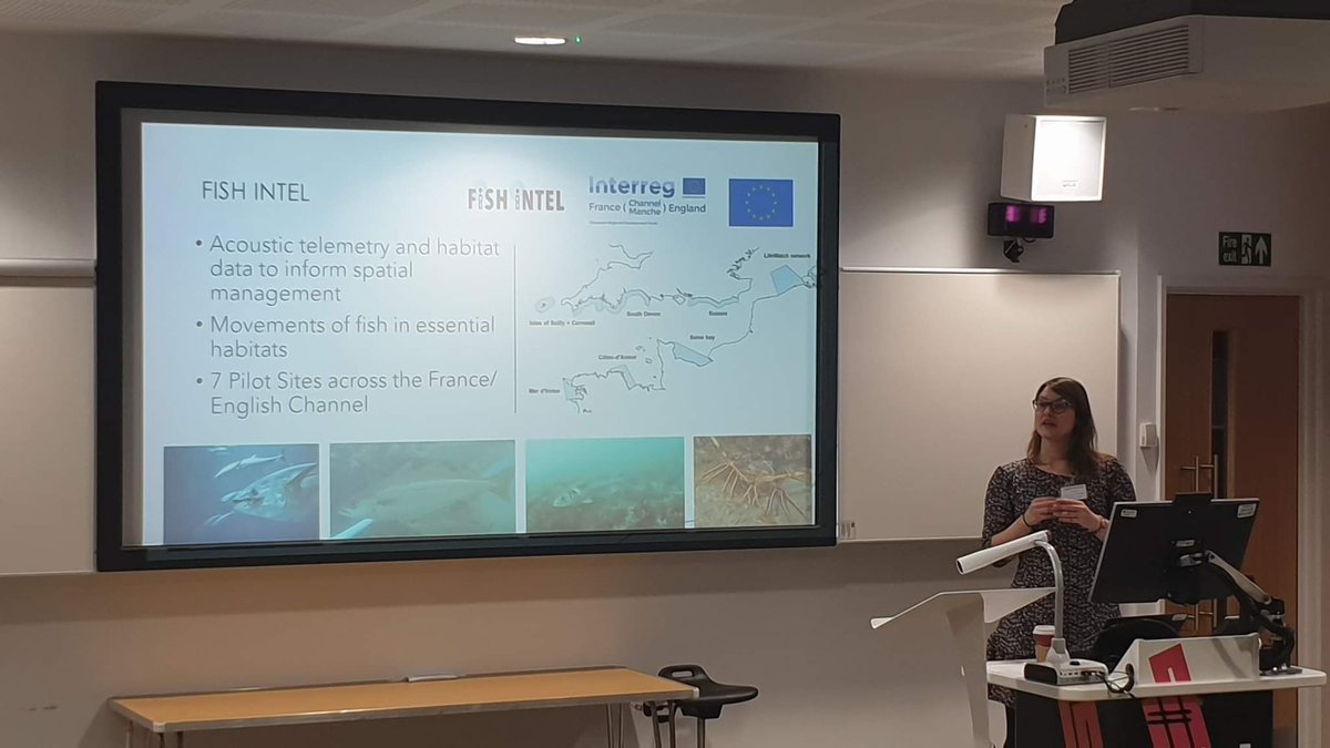 AHall_Marine's tweet photo. Thanks @ycsec2020 for inviting me to give a keynote presentation on my early career research to date. A journey through my PhD, #3DPARE postdoc at @bournemouthuni and my @fish_intel postdoc at @PlymUni
#ecology #coastalstructures
#YCSEC2022 @AtlanticArea @Channel_Manche #ERDF https://t.co/Xfw5rGBYpY