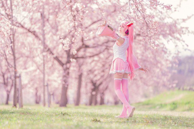 コスプレイヤーしらゆき（しらゆきミク）のTwitter画像11