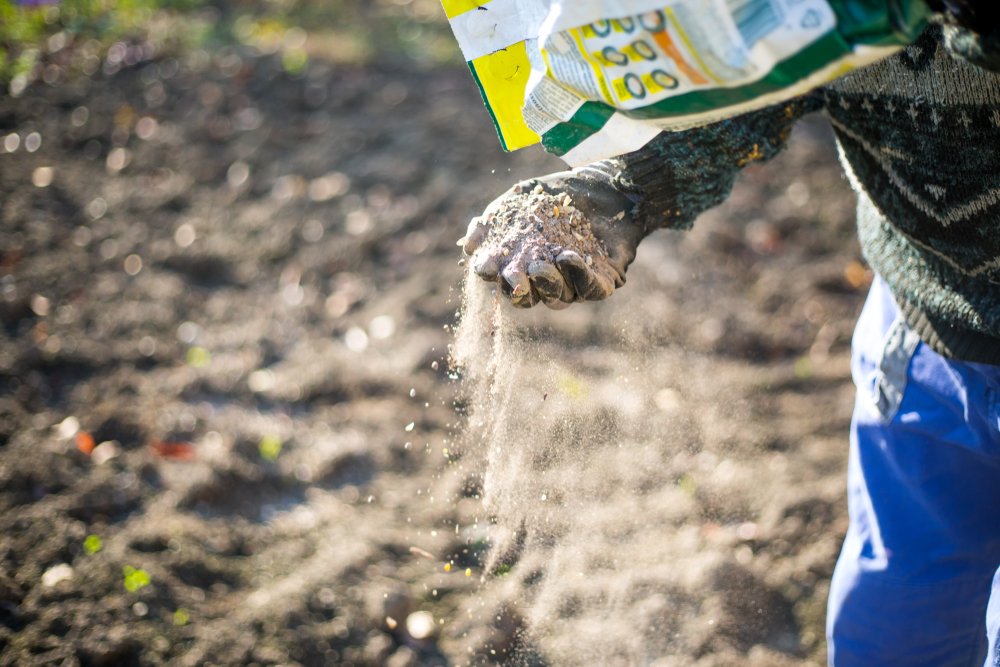 AfDB_Group's tweet photo. The African Development Bank-managed Africa Fertilizer Financing Mechanism is reaping impactful results in #Tanzania: $2.3M in trade credit guarantees provided leverage of 11.2 times, enabling suppliers to sell #fertilizer worth $26.3M to 570,000 farmers. 
https://t.co/aINU2nJktq https://t.co/zSjeCUObcV