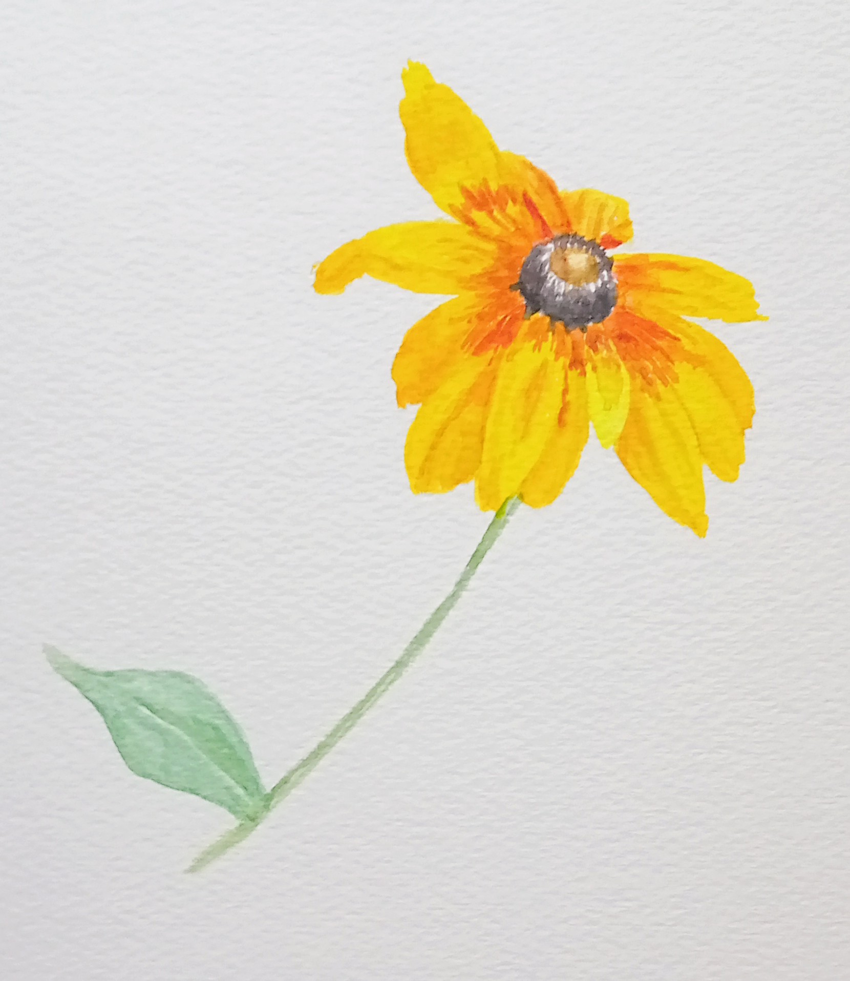 なつみ 1日1絵 ひまわりに似た小さい花 ルドベキア というそうです 1日1絵 66日目 水彩画 ルドベキア T Co I1r8vddkbv Twitter