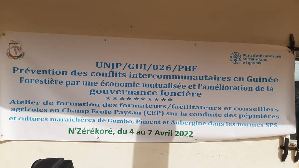 FAOGuinee's tweet photo. #Nzérékoré-Demarrage de la formation d'une quarantaine d'agents ANPROCA (Agence Nationale de la Promotion Rurale et de Conseil Agricole) devenu SERPROCA sur le concept de CEP (Champs Ecoles Producteurs) et CEP en période de Covid19. #MondeRural, #FainZero https://t.co/PQvfnxYEQz