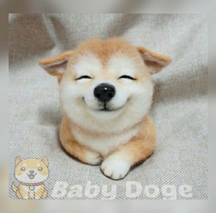 lieworld93's tweet photo. @Ben_000777 @babydoge @bsc_trends #BabyDogeCoin #BabyDoge 1 https://t.co/TiAR9Vsqpq