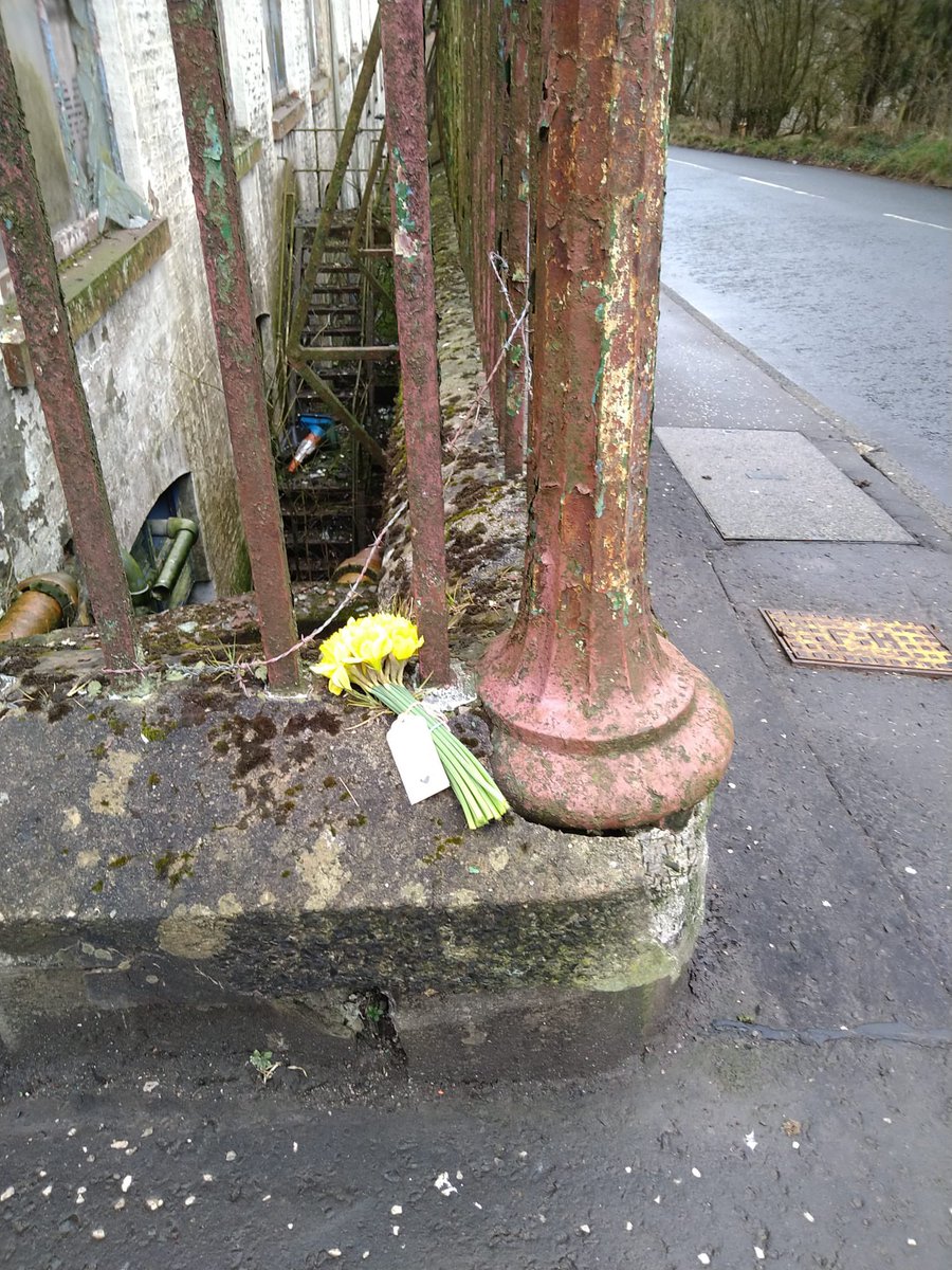 NeilstonChurch's tweet photo. Weather is miserable, but these daffodils might cheer up your day. #seeyouatNeilstonParishChurch #seeyouatNPC https://t.co/Ponn69RfdX