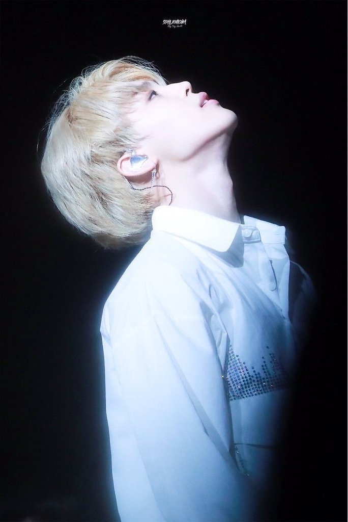 ジミン氏の横顔(首含め)をめっさ推しておりまして、この良さを伝えて