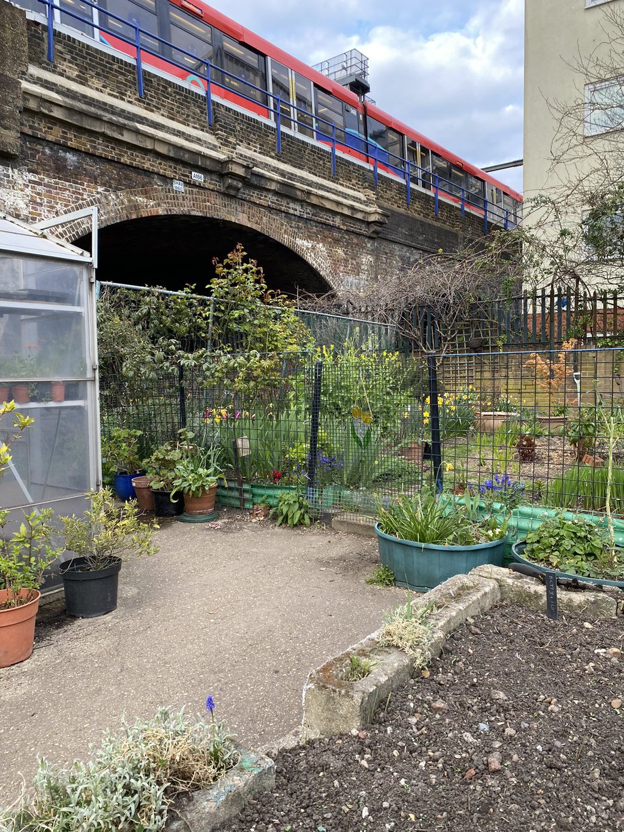 Michelle Rowland tweet media