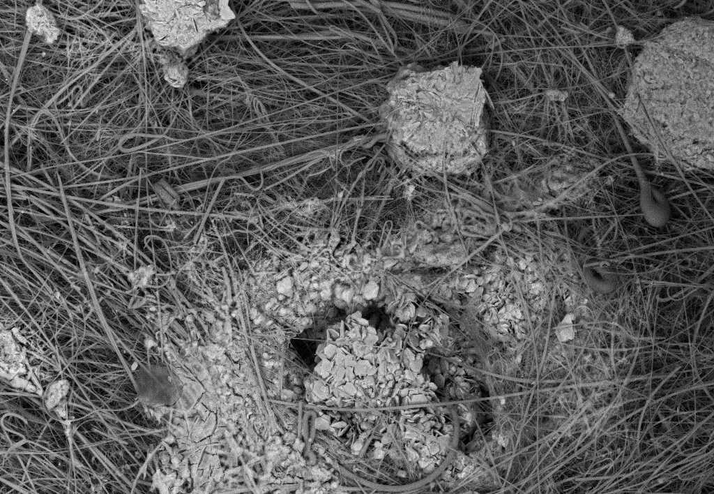 spb_university's tweet photo. #ScienceinFocus
The photo shows a unique image of an active electrode mass separator for batteries after a test cycle. The operator was Evgeny Grigoriev. https://t.co/5kgMEDjzI1