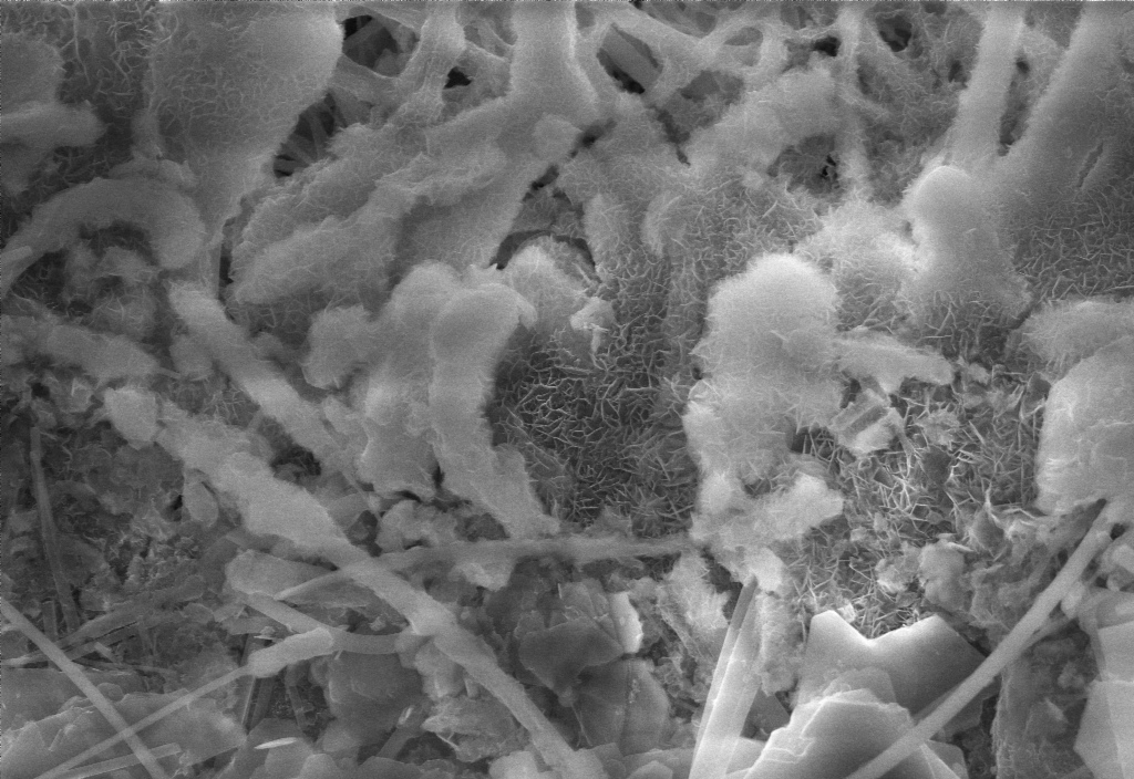 spb_university's tweet photo. #ScienceinFocus
The photo shows a unique image of an active electrode mass separator for batteries after a test cycle. The operator was Evgeny Grigoriev. https://t.co/5kgMEDjzI1