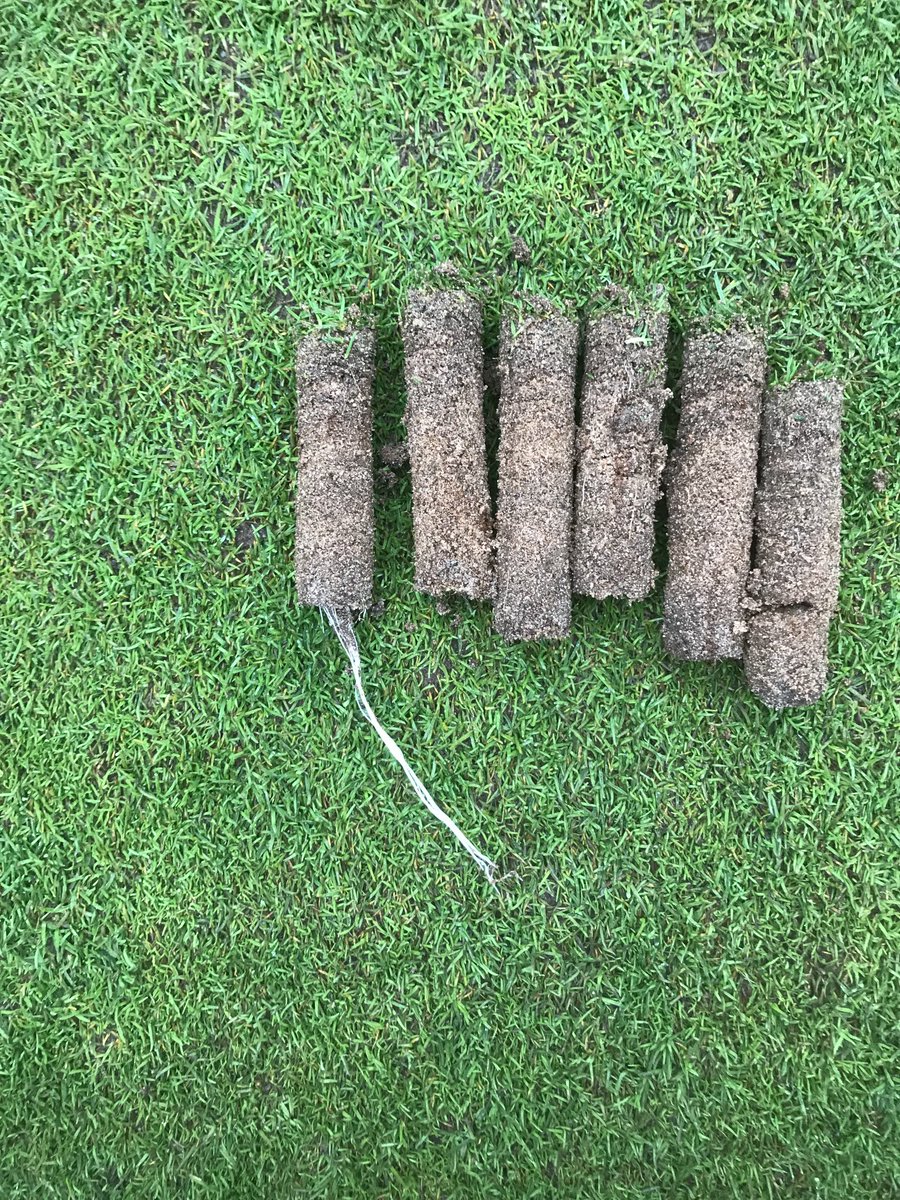 MacgregorRamsay's tweet photo. Wow that’s rooting ⁦at Caldwell GC ⁦@barrymcc7⁩ https://t.co/HoHuBVblHi