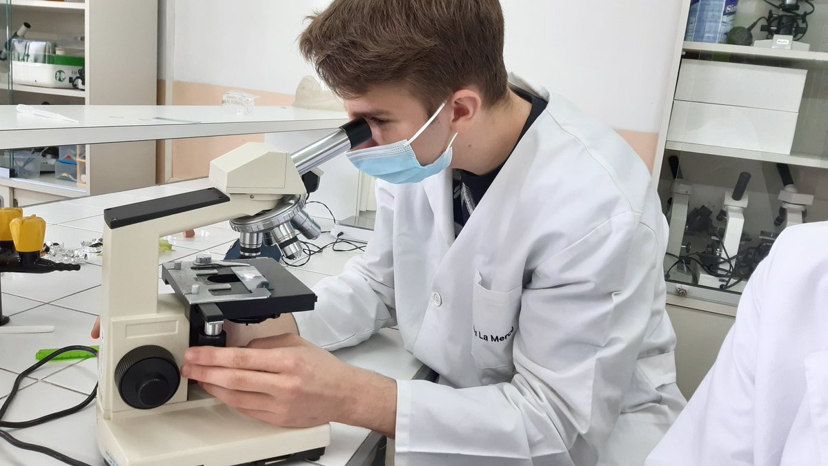 FEMMA_Setmana's tweet photo. A la segona pràctica de biologia els alumnes de batxillerat han observat com actuen les cèl.lules en diferents dissolucions 🔬 https://t.co/puC7kjeAkH