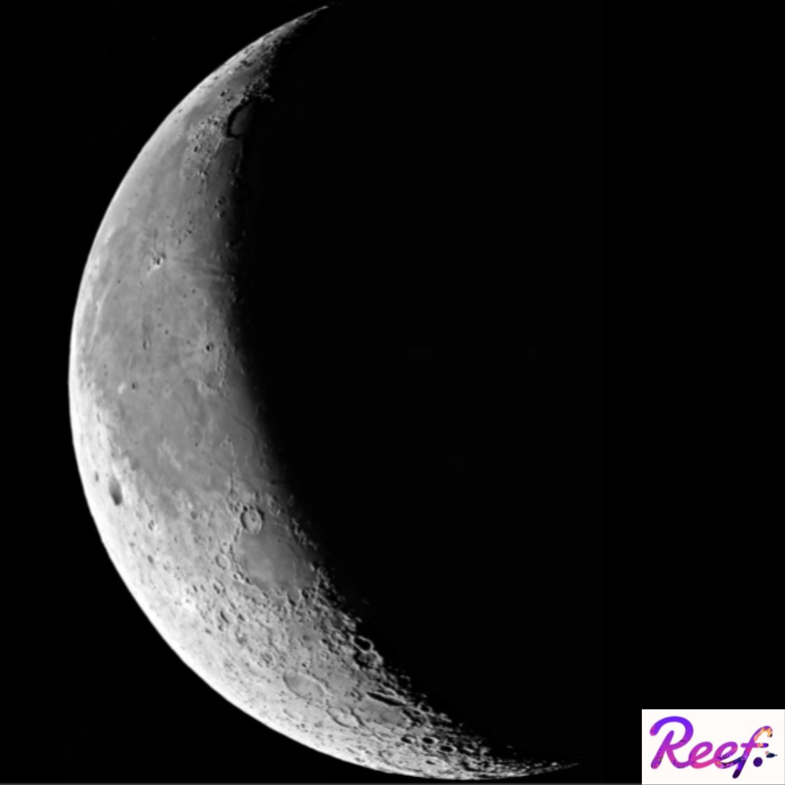 Marijn57004931's tweet image. Its not if, its when…..

@ReefDeFi #reefcard $reef #defi