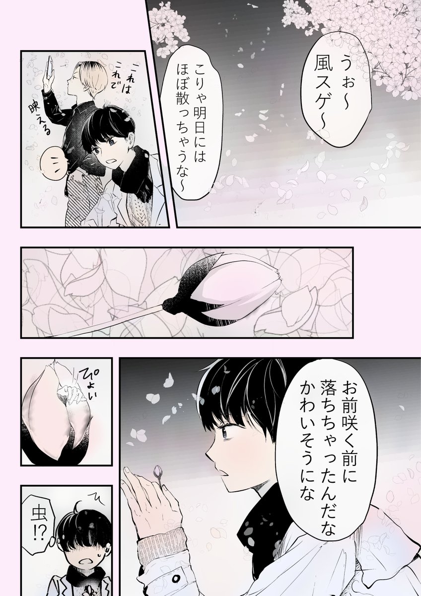 散った桜のそのあとに(再) 