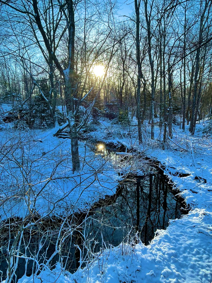 JLIlsleyHS's tweet photo. The beautiful last gasps of winter (hopefully) making the commute to school a walk through wonderland. Game Changers underway today, linking some of our learning centre crew with dynamic sport programming. #ideasabound #programpilot @JLIlsleyHS Day D (4123) https://t.co/VwvFMI6Zju