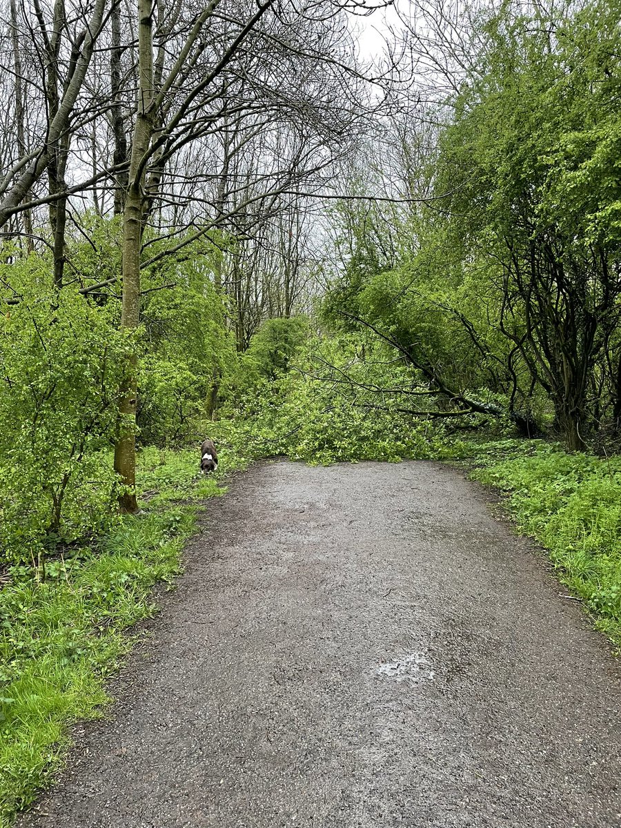 Tom Wainwright tweet media