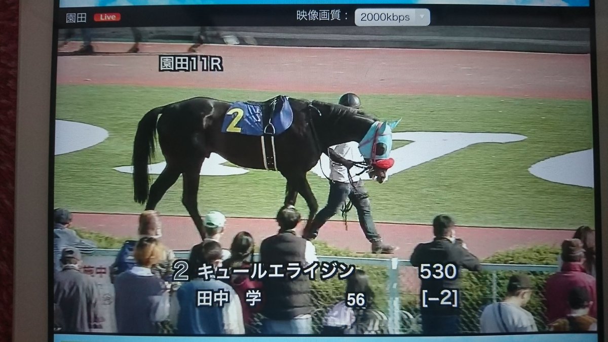 🐴キュールエライジン勝っとるがね～❗(爆)🤣

ということは⚡雷神様、🐴キュールエライジンの馬券買ってないな❗(爆)🤣

#園田競馬
#キュールエライジン
#keiba_radio 
#RAKURAI  