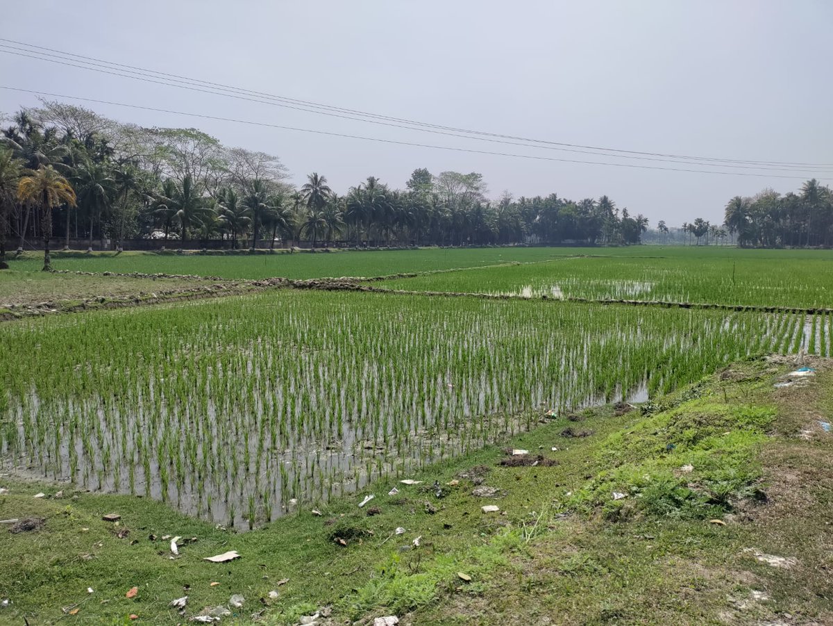 CatharienTvS's tweet photo. Key #lessons from the #delta session on #salinity at @Gobeshona #ggc2 conference
1. Work together with farmers &amp; collect field level #data; 2. Address salinity #systematically; 3. Work on #upscaling; if #adaptation is not enough, explore #transformation use #scenarios @WUR https://t.co/wdSeYKLXJi