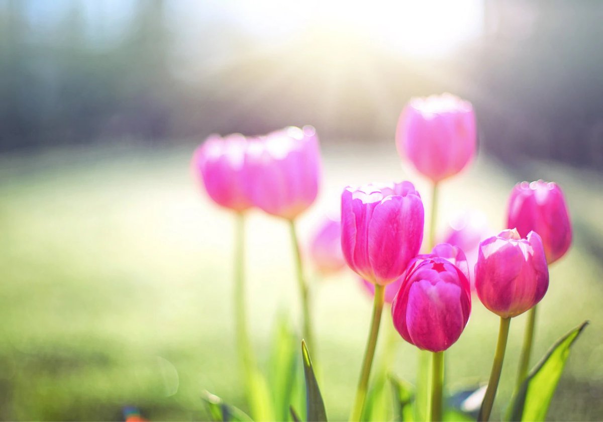 JoyCorporate's tweet photo. It's really mean. Finally, the sun is shining, the days are getting longer. The long-awaited spring is here! But unfortunately, many people lack the desired energy.

#spring #energy #energylevel #fatigue #performance 
 
https://t.co/QJtqJ8QqAn https://t.co/QmmxM3Ex5L