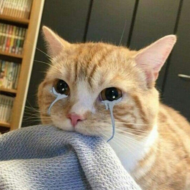 Its a bittersweet song but I'm glad at the same time that they were not together for the mv,it felt like they respected the fact that bigbang was 5  from the beginning and they want to keep it that way