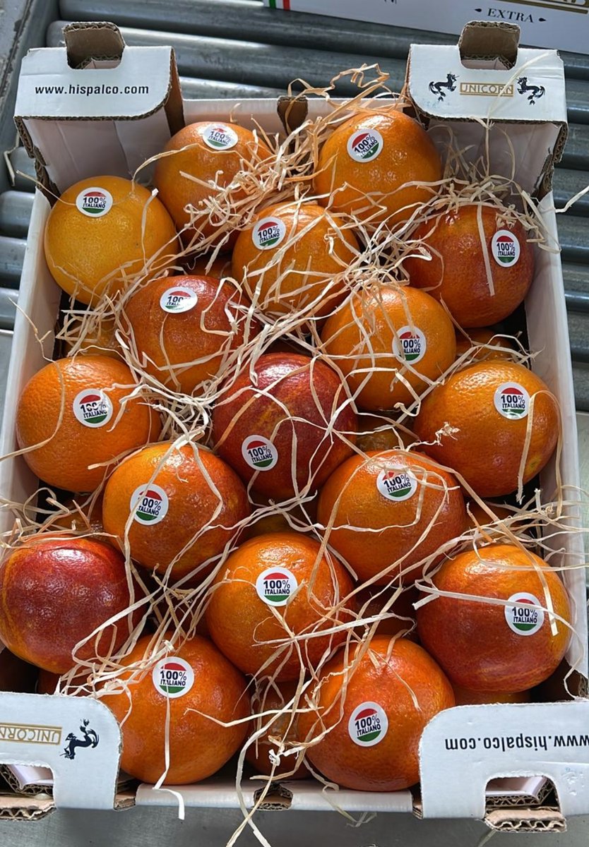 hispalco_es's tweet photo. Nuestras naranjas #Tarocco Unicorn vienen de Italia y son recogidas a los pies del monte Etna en Sicilia. 
 Our Tarocco Unicorn oranges come from Italy, they are gathered at the foot of Mount Etna in Sicily. #freshfruit #oranges #unicorn #qualityfruit https://t.co/vzDD7a2pIY