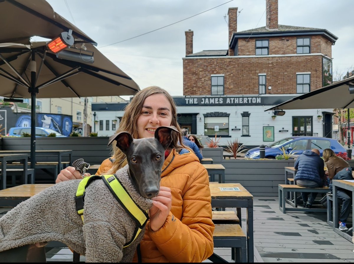 jamesathert's tweet photo. @danieldaviesRPL @JonnyBenson @marcthevet @J___Williamson @thedustyteapot @Lucy_Cavalier @lucylou71 @UptonBow @bowleggedbeagle @LivEchonews @TradeMarkArt @alison_pountney @Dotmasters @bruteprop Would love one of Wallace the Whippet, still only a puppy but he'll be around the place for years. The staff at the JA love giving him biscuits 🐕 https://t.co/X5IxdclXtg