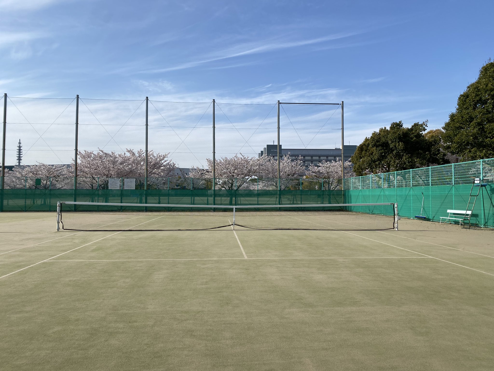 大成圭介 毎日毎時今一瞬 Tennis Osk Twitter