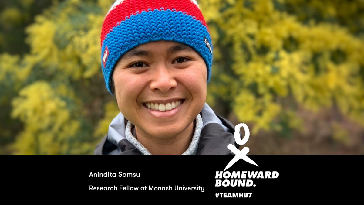 Homeward Bound tweet media