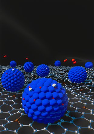 Xile Hu 胡喜乐 tweet media