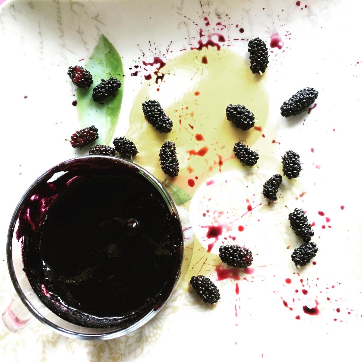 panthiranjit's tweet photo. Mulberries jam is the best and so easy to make #mulberry #jam #cook https://t.co/rCe3GYU86Z