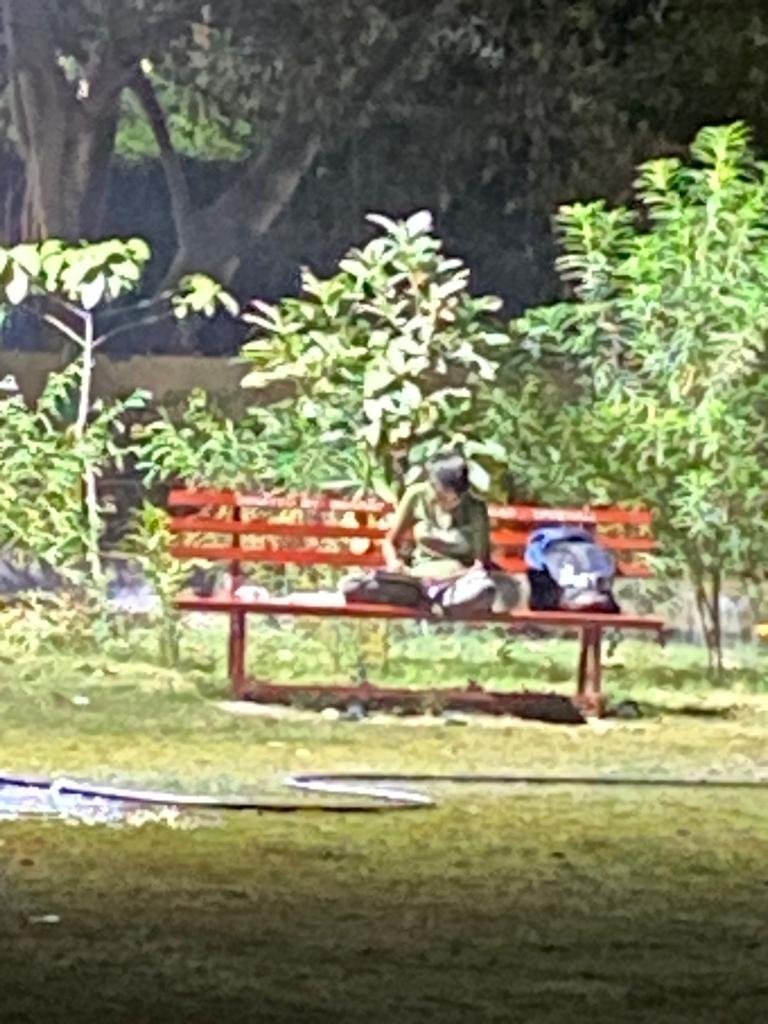 JasraReema's tweet photo. Glad i m a part of the journey with other residents of sector 4 vaishali Ghaziabad,giving space &amp; light  to this budding young girl so that she can study, this park could provide cushion to her struggles, salute the dedication of the girl &amp; this journey garbage to garden🌴🌲🌳💐 https://t.co/3kw7MSBIKu