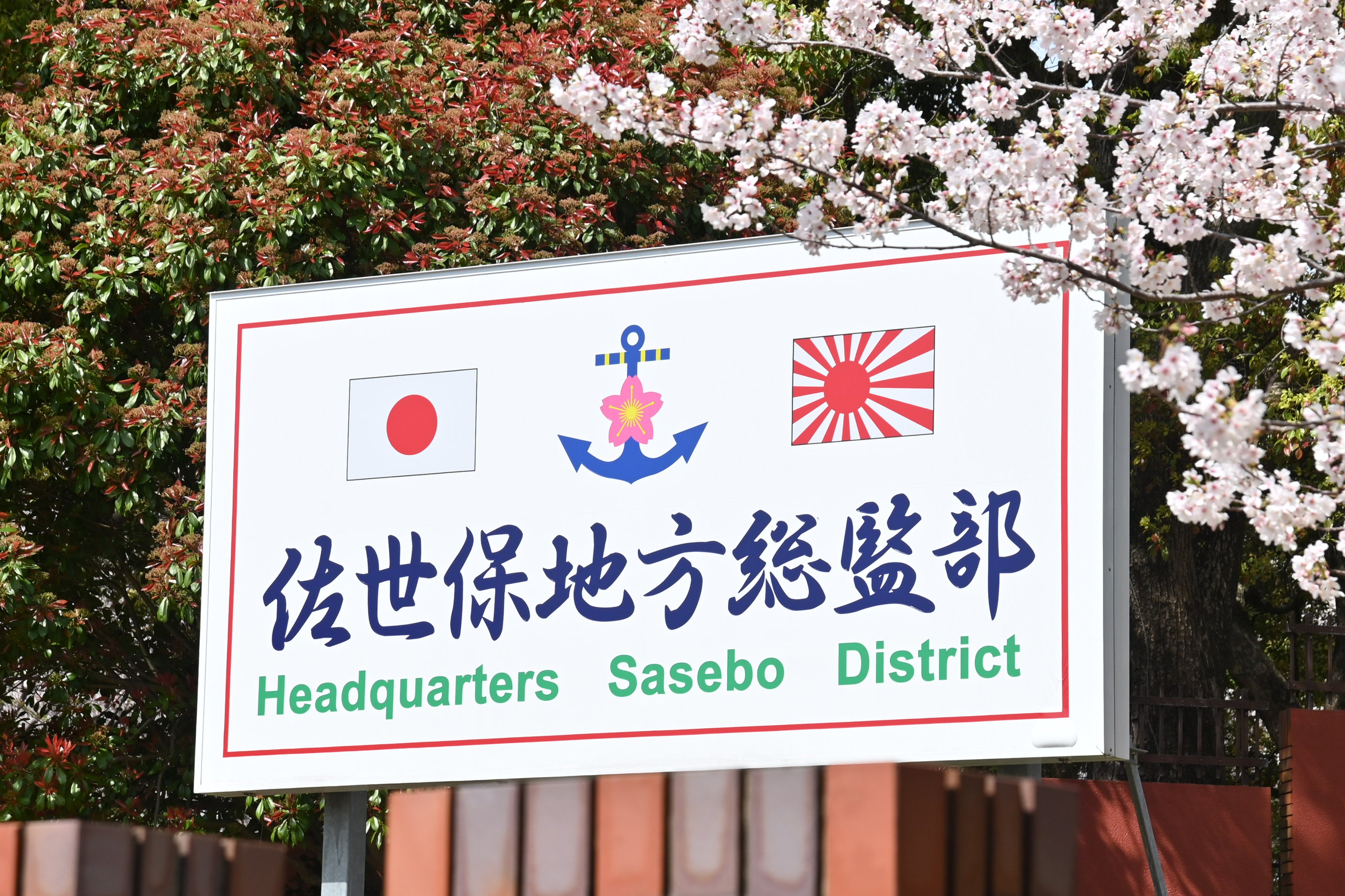 海上自衛隊佐世保地方総監部 公式 桜満開 佐世保地方総監部 の桜が満開になりました 総監部内の各所に桜が植えられていて この季節は朝の出勤も楽しくなっちゃいます 次回は夜桜の写真をお届けしますね 海自佐世保 桜 満開の桜