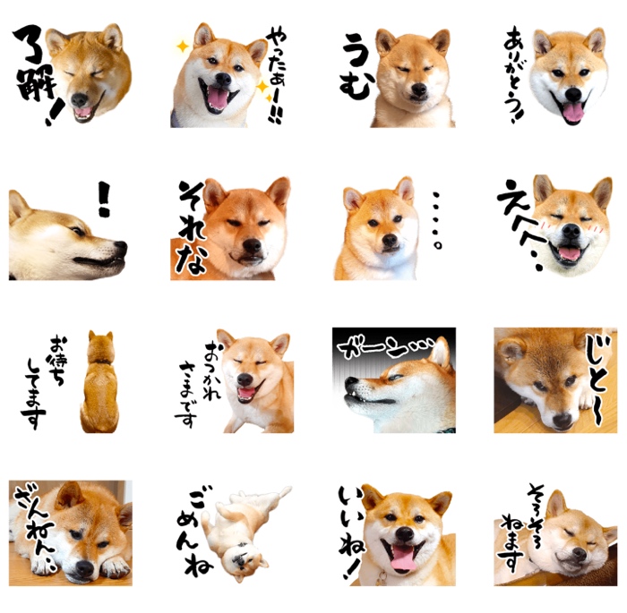 تويتر Line Stamp Park على تويتر 新着登録スタンプ紹介 柴犬大五郎スタンプ 第一弾 Lineスタンプ広場 T Co Qoat4iuad6 Lineスタンプ広場 新着スタンプ Line Lineスタンプ Lineクリエイターズ 無料登録 募集中 販売促進 T Co C4hydnublp