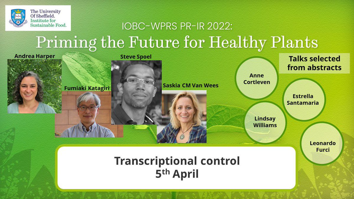 The 2nd day of #IOBCSHEFF is starting with the session on Transcriptional Control 
<a href="/SpoelLab/">Spoel Lab</a>, <a href="/Andrea_L_Harper/">Dr Andrea Harper</a>, <a href="/CortlevenAnne/">Anne Cortleven</a>, <a href="/s_vanwees/">Saskia van Wees</a>
@Lindsayplantsci