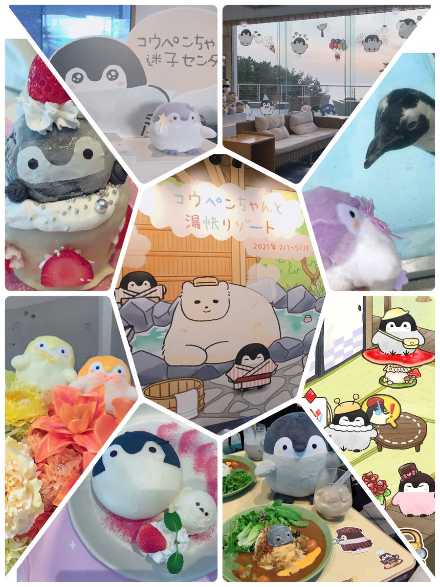 popo870's tweet photo. とある夏コウペンちゃんカフェに行って、なつのうたがBGMで流れてて心を撃ち抜かれました…！🌻それからというもの、コウペンちゃんと毎日一緒でとっても幸せ！🍀
思い出ありすぎて、写真選びきれない…！　5周年おめでとうございます！これからもずっと一緒！
#コウペンちゃん5周年 
#コウペンちゃん https://t.co/EliI9BvjSx