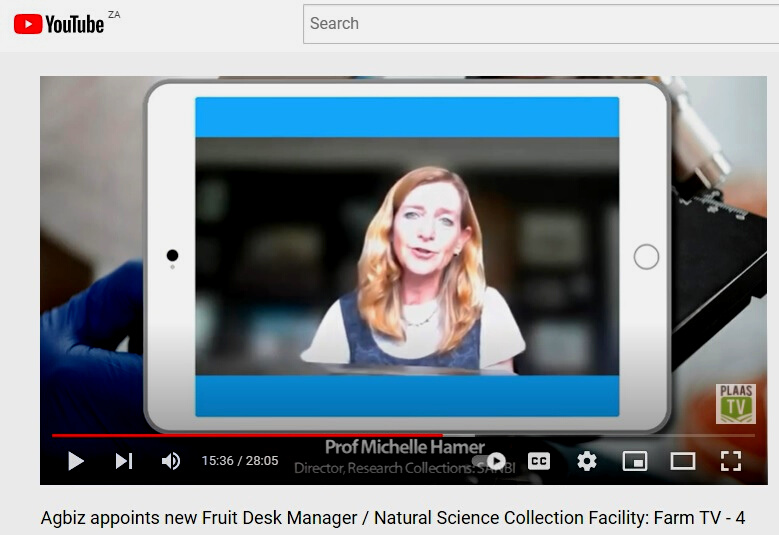 NSCF_SA's tweet photo. What are Natural Science Collections? 
What are Biodiversity BioBanks?
How do the two differ?
How are they involved in agriculture?

Watch this interview by Farm TV, interviewing Prof Michelle Hamer, Project Lead for NSCF and BBSA: https://t.co/arhAktcEG9
#farmtv https://t.co/eCorzdwvxC