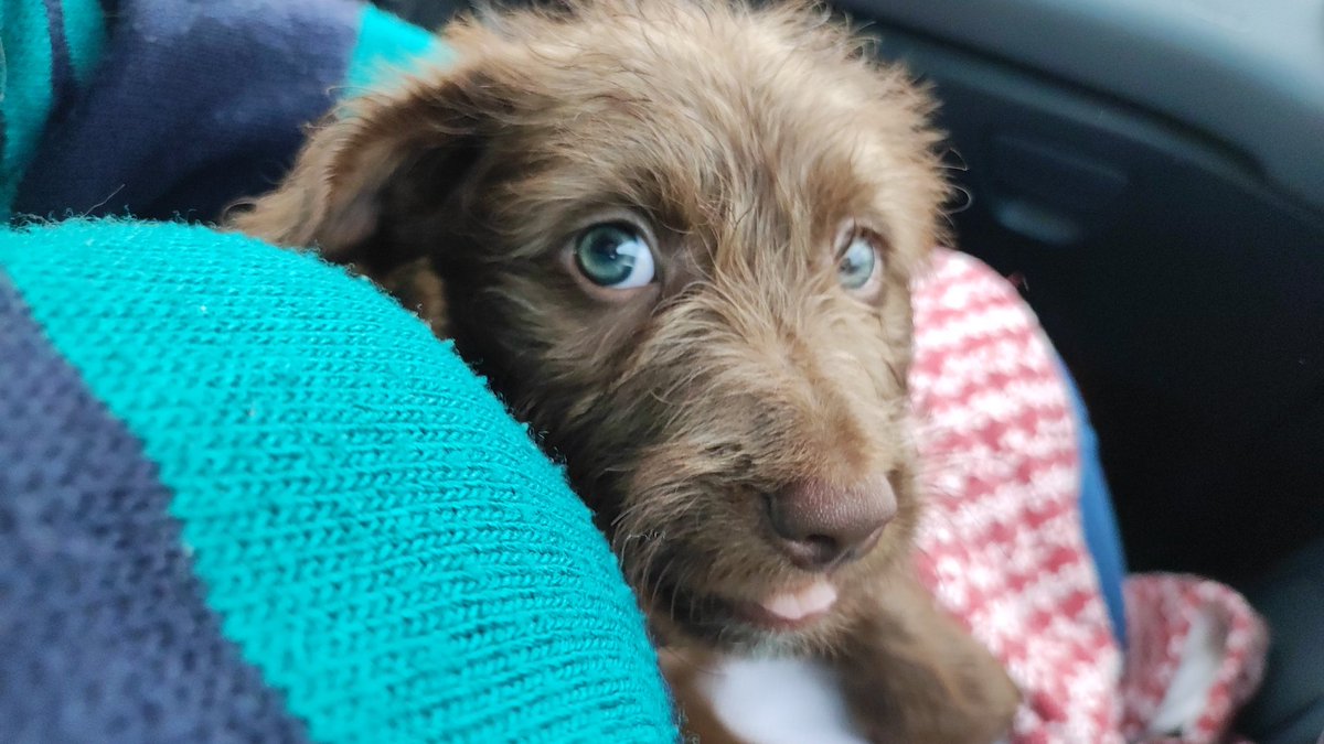 Marina 👎✨ tweet media