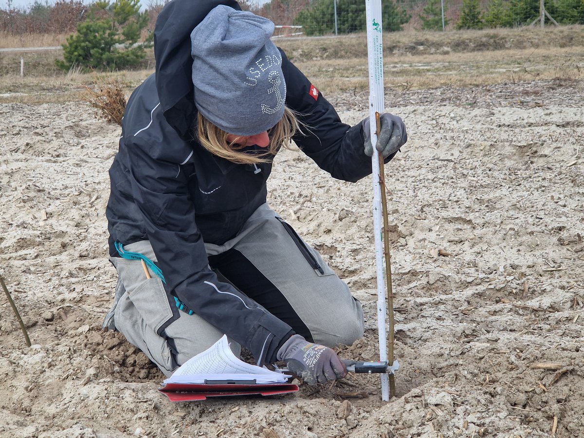 BeonNAT_H2020's tweet photo. On a cold and windy but sunny April 4th, soil sampling and biomass measurements were carried out on the test site in Welzow-South (Germany) by our partner @BTU_CS. 

@CBE_JU #H2020 #innovation #marginallands https://t.co/scNm2r5ea3
