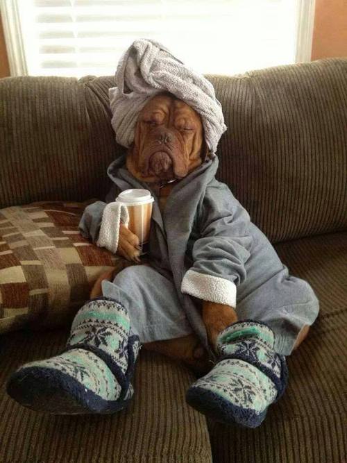 droledebuzz's tweet image. décontracté en sortant du bain...