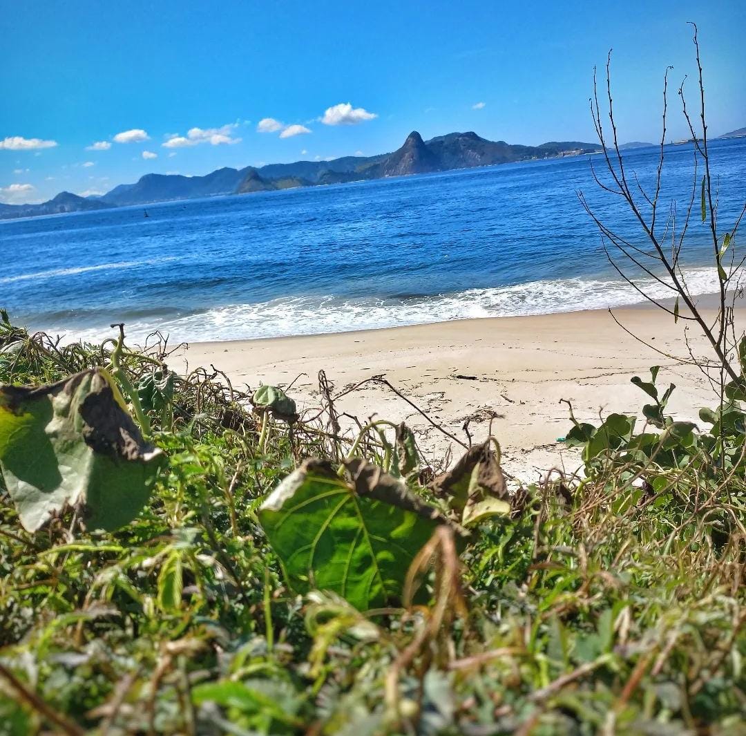 Centro de Operações Rio tweet media