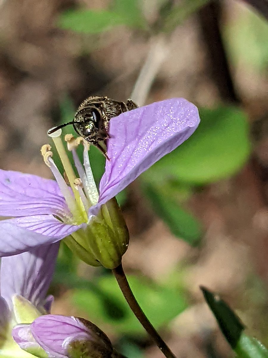 🏳️🌈Timo Wayman🇵🇷 tweet media