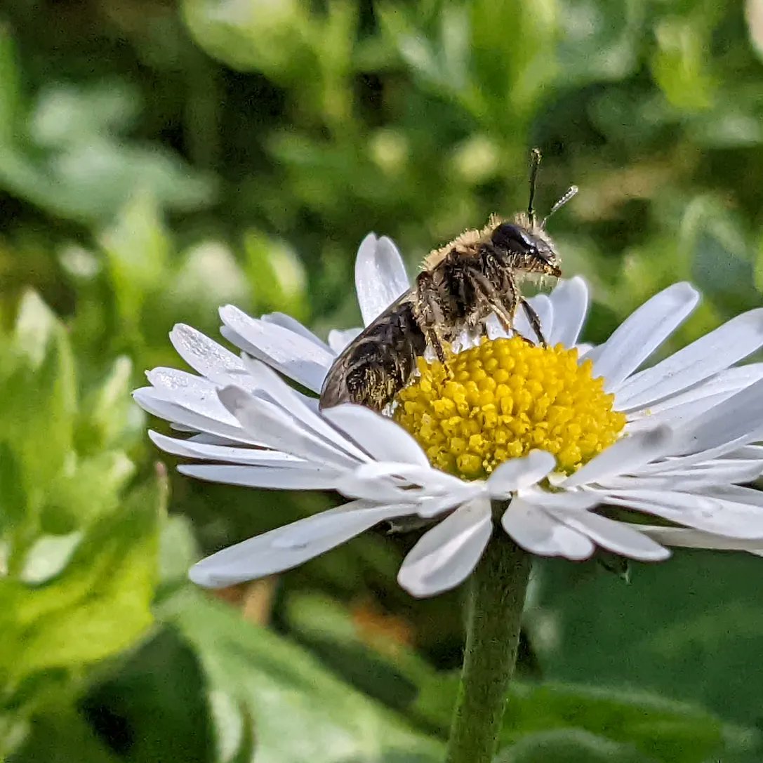 🏳️🌈Timo Wayman🇵🇷 tweet media