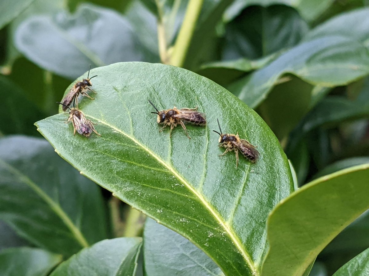 🏳️🌈Timo Wayman🇵🇷 tweet media
