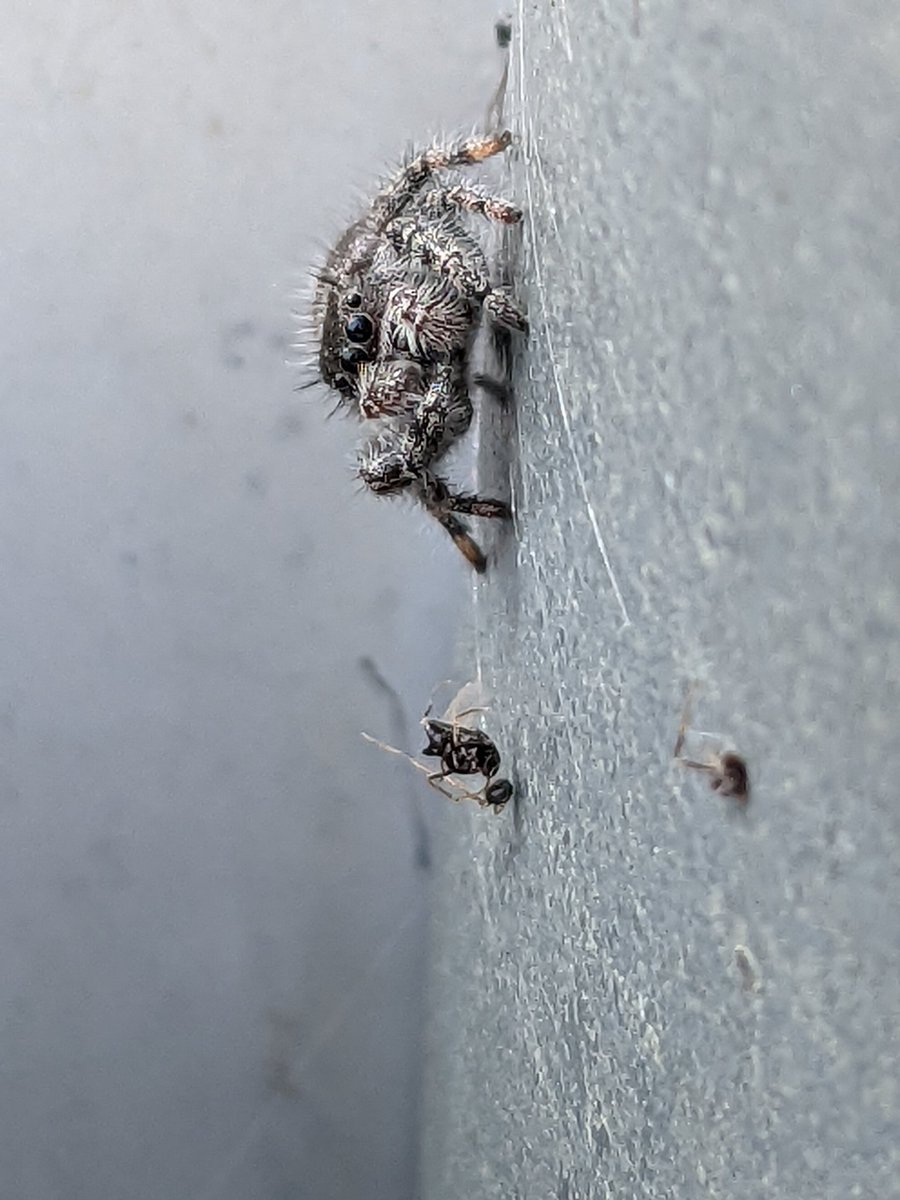 🏳️🌈Timo Wayman🇵🇷 tweet media