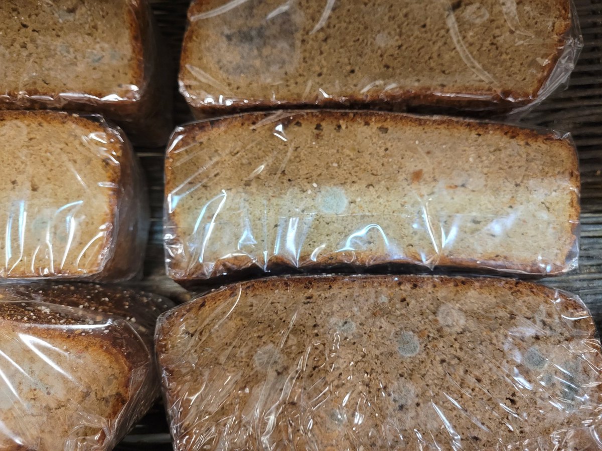 PinkPolkaD0t's tweet photo. @PicknPay The quality controle at the West Coast Village branch is terrible. Moulded rye bread on your shelves, not one, all of them. I walked out yesterday. https://t.co/TJLzPQhpaO