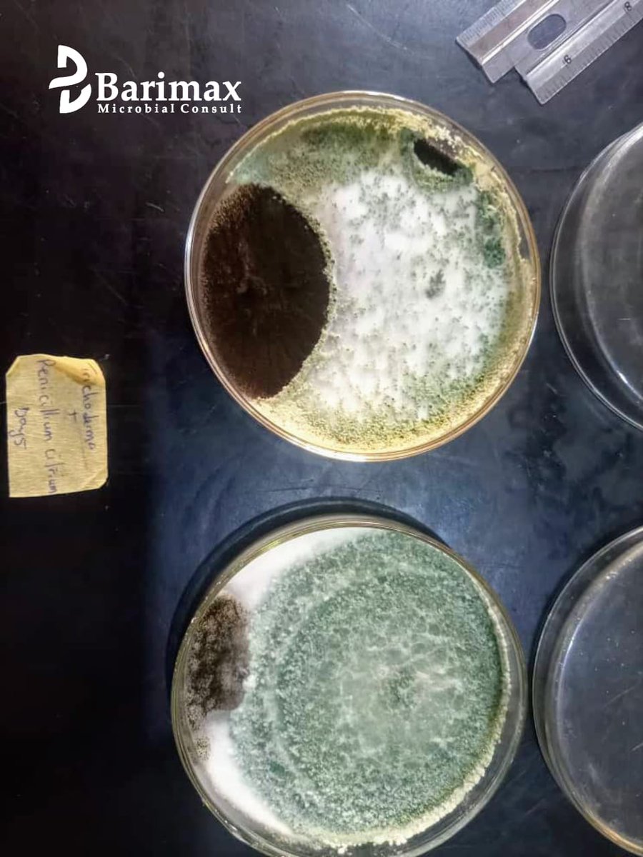 Barimaxconsults's tweet photo. #Microbiology
#studymicrobiology
#microbiologist
#GRAMMYs
#Ukraine
#BIGBANG_StillLife
#bbtvi https://t.co/785hnEfhGe