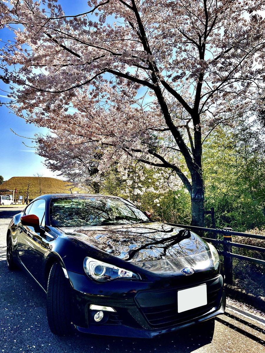 T_SHU1023's tweet photo. 【🌸 Cherry Blossom ×  BRZ 🌸】
　　　　　　　　撮影日和‼️

#subaru
#BRZ 
#BRZ・86
#桜と愛車
#さくらのある風景
#スバル乗りと繋がろう2022春 https://t.co/7ahOYsThhx