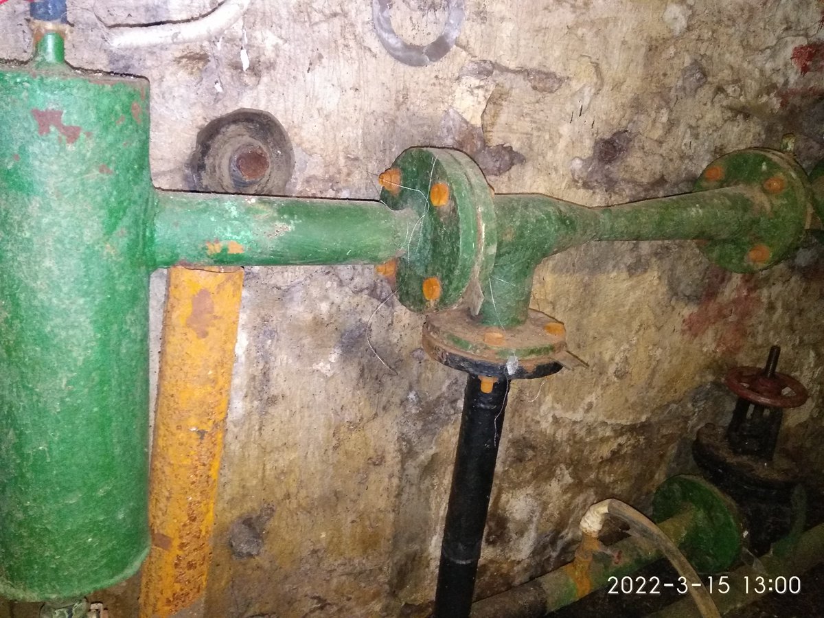 Зинаида tweet media