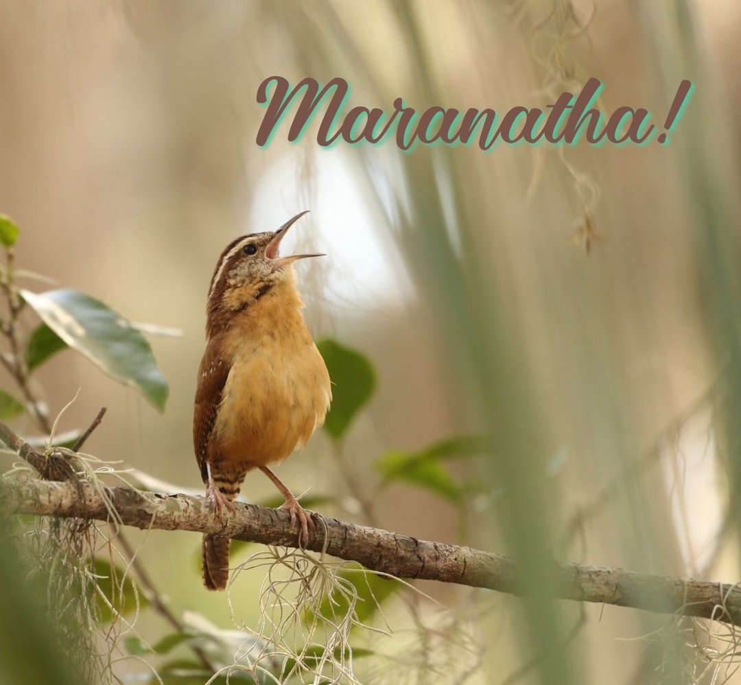 🌾laborer of Jesus (@elisemcdowell) on Twitter photo 