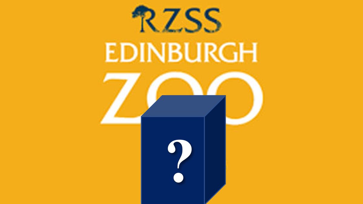 Still searching for more participants to take part in this <a href="/QUBPsych/">QUB - School of Psychology</a> #zooresearch that introduces you to a small creature that lives <a href="/EdinburghZoo/">Edinburgh Zoo</a>. Would love to know what #emotions you feel for them.
qubpsych.eu.qualtrics.com/jfe/form/SV_1E…